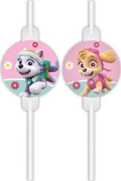 Paw Patrol - Skye And Everest