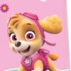 Paw Patrol - Skye And Everest