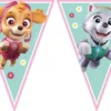 Paw Patrol - Skye And Everest