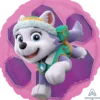 Paw Patrol - Skye & Everest - Tosidig