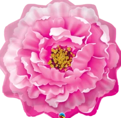 Pink Peony (Rosa Peon)