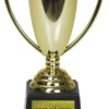 Pokal - "Best på fest"