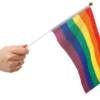 Rainbow håndflagg - Small